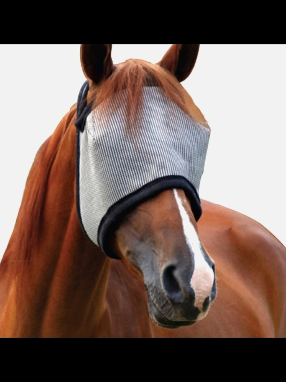 DURVET Mesh Fly Mask for Horse with Black Trim, NEW w/out Tags/Box. Size Horse.